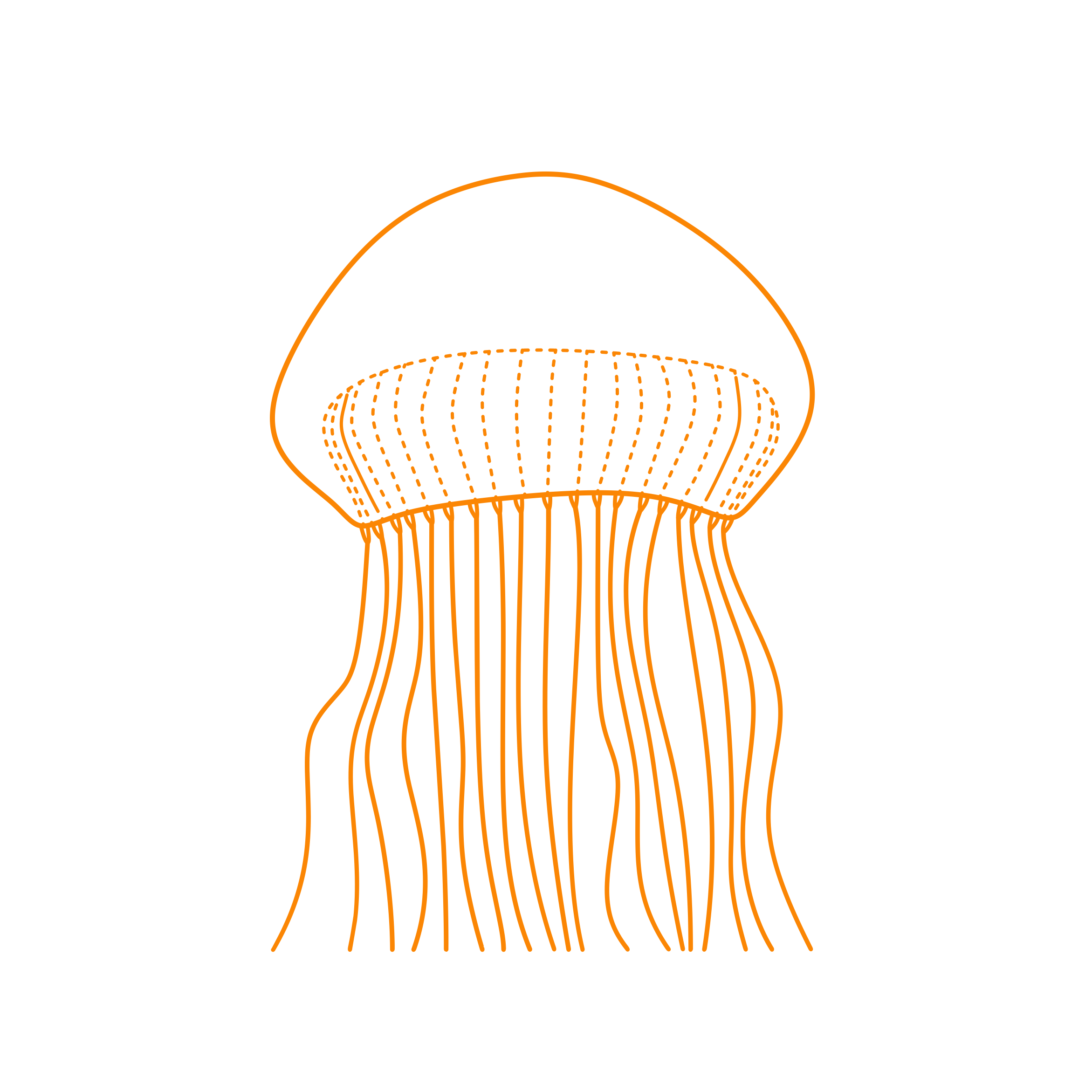 Animals Jellyfish Outline Drawing Svg Vector Free Vectors
